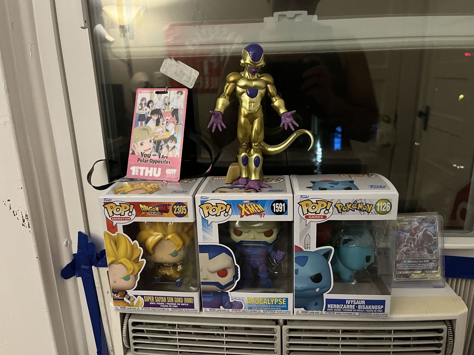 Armaan's display case in Troy, NY
